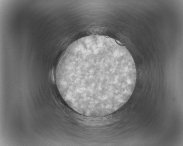 X0000063510042200602172158