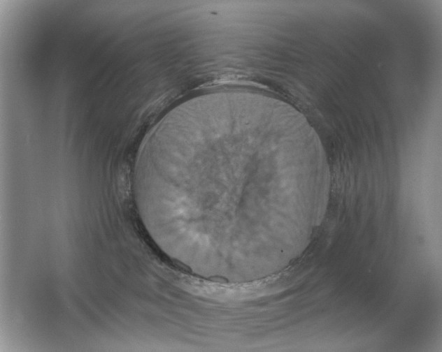 X0000063510043200602172158