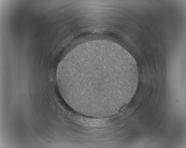 X0000063510044200602172158