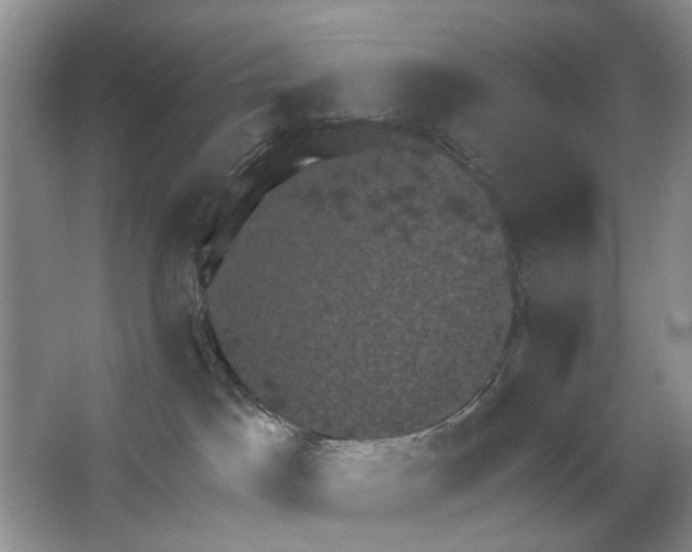 X0000063510045200602172158