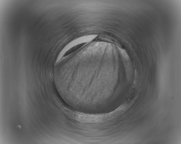 X0000063510048200602172158