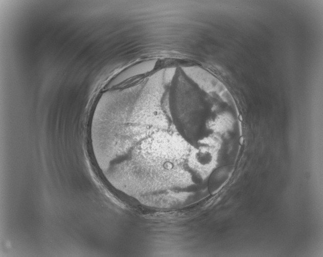 X0000063510049200602172157