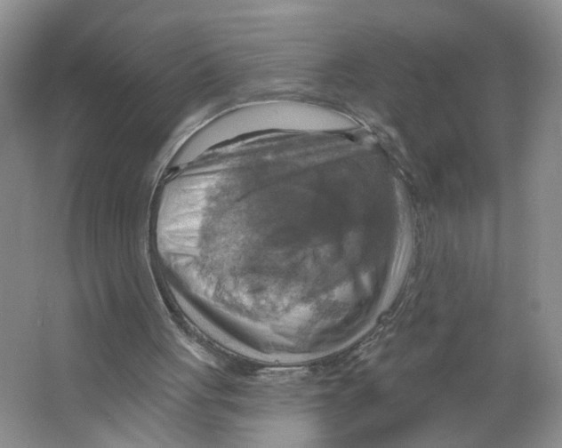 X0000063510051200602172157