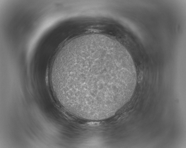 X0000063510052200602172157