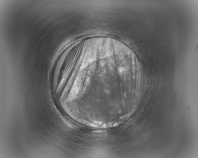 X0000063510053200602172157