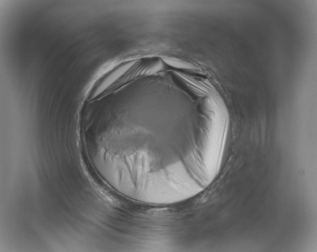 X0000063510054200602172158