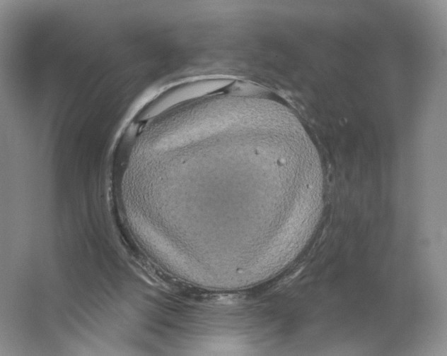 X0000063510056200602172158