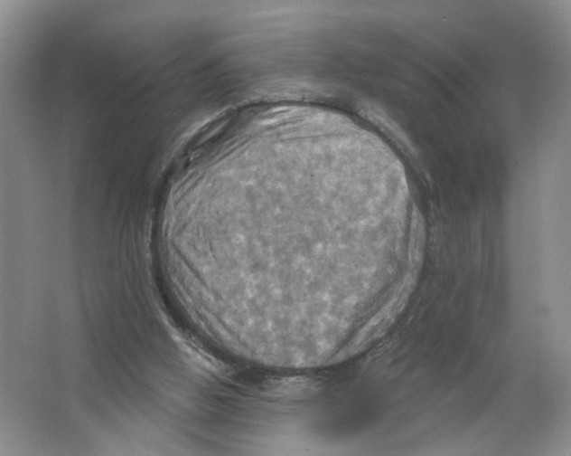 X0000063510058200602172158