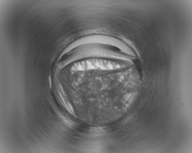 X0000063510061200602172158