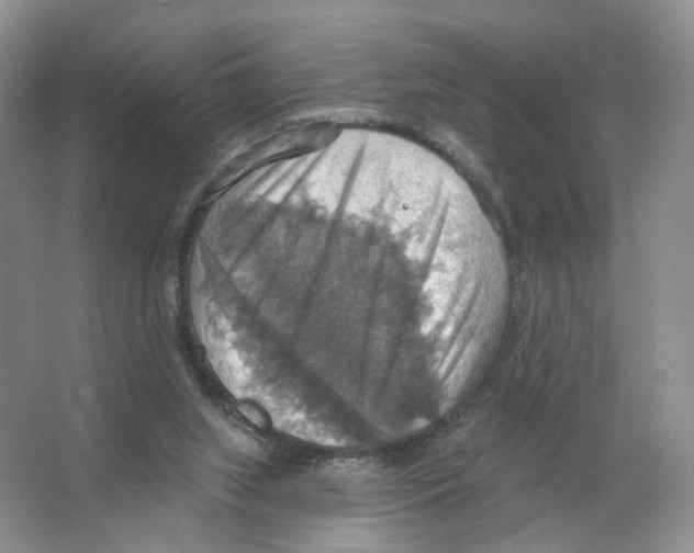 X0000063510063200602172158