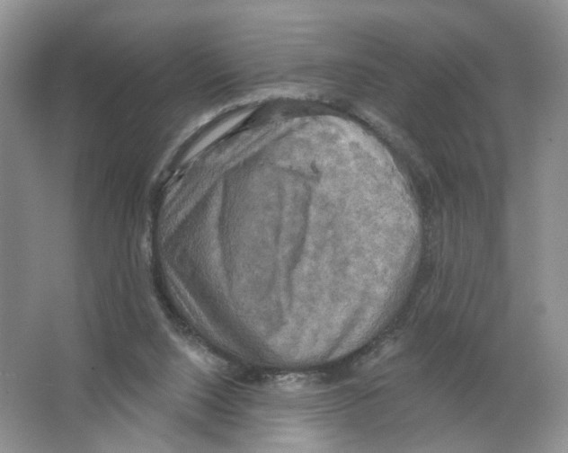 X0000063510064200602172158