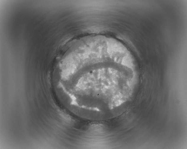 X0000063510066200602172158