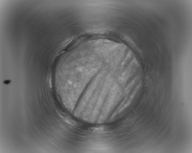 X0000063510068200602172158