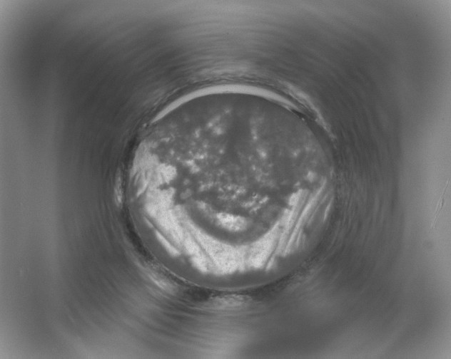 X0000063510069200602172158