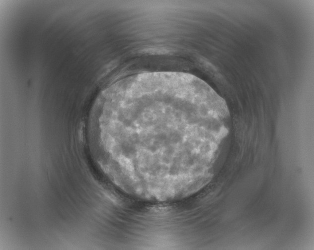 X0000063510071200602172158