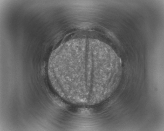 X0000063510073200602172158