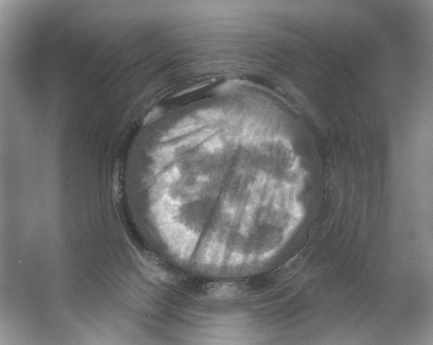 X0000063510074200602172158