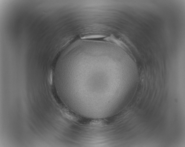 X0000063510076200602172158