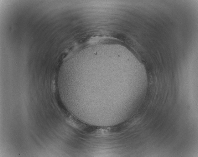 X0000063510080200602172158