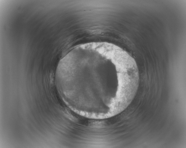 X0000063510081200602172158