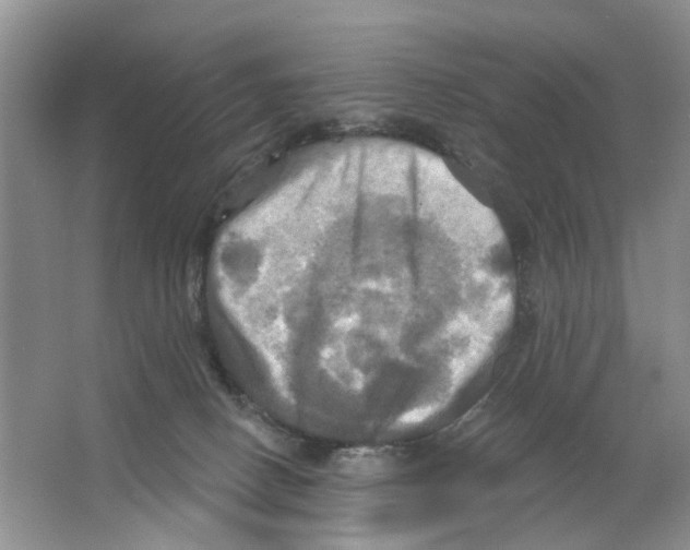 X0000063510082200602172158