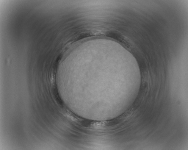 X0000063510084200602172158