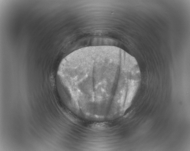 X0000063510086200602172158