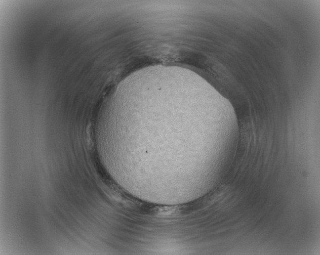 X0000063510088200602172158