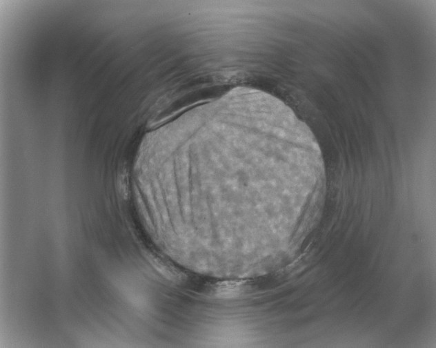 X0000063510090200602172158