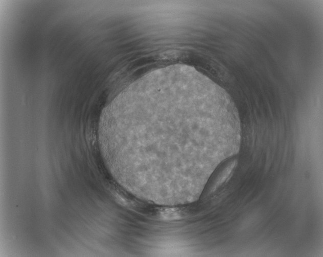 X0000063510091200602172158