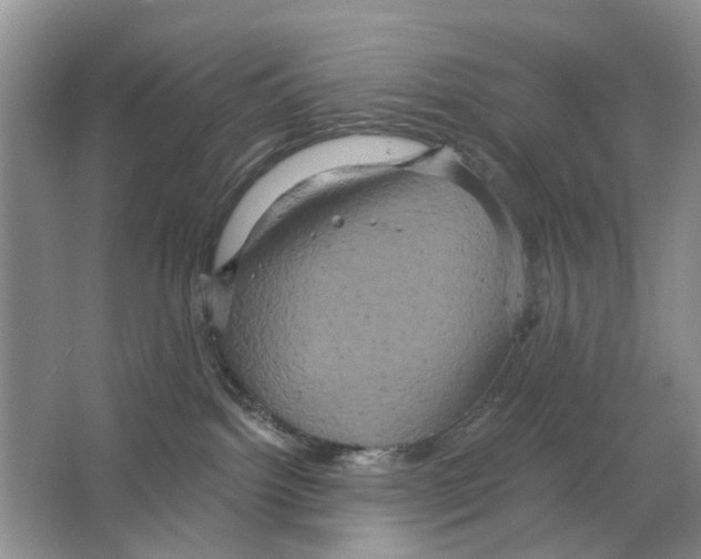 X0000063510092200602172158