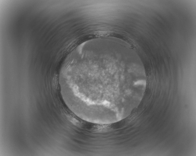 X0000063510093200602172158