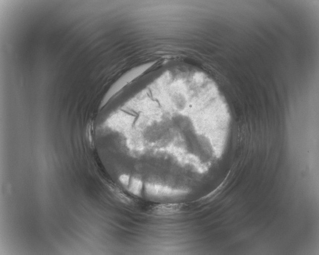 X0000063510094200602172158