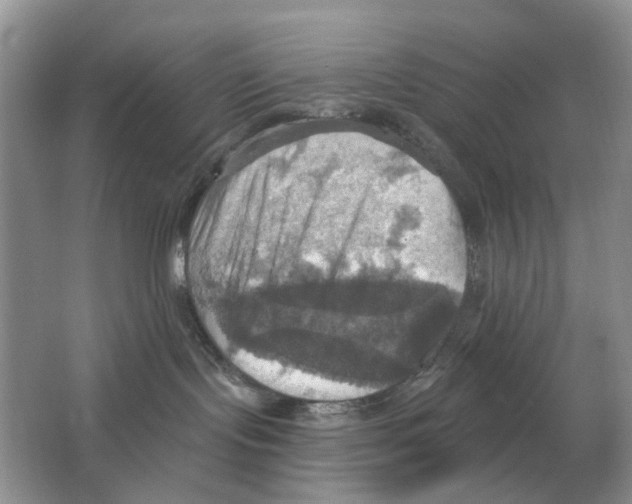 X0000063510095200602172158