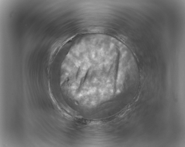 X0000063510097200602172157