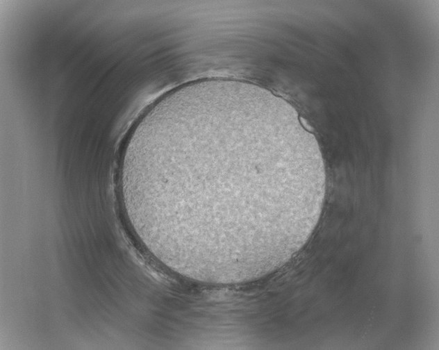 X0000063510098200602172157