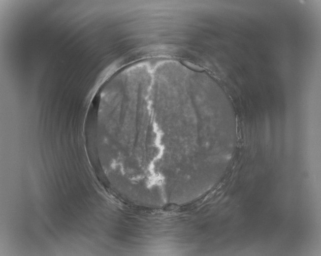 X0000063510099200602172157