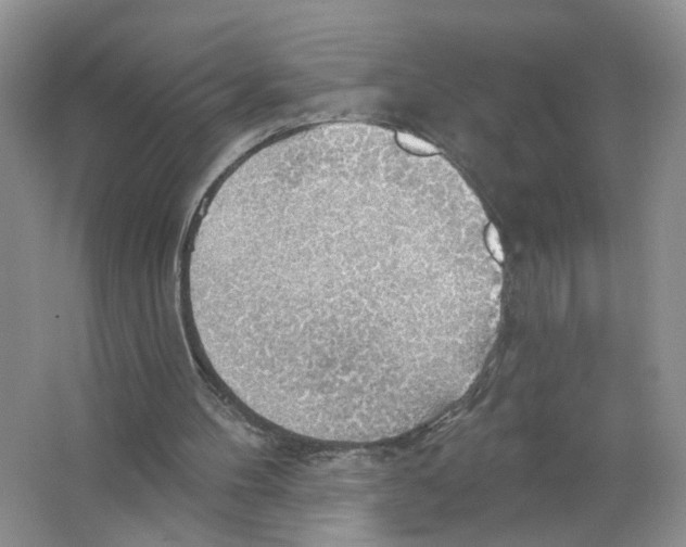 X0000063510100200602172157