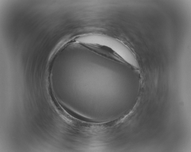 X0000063510101200602172157