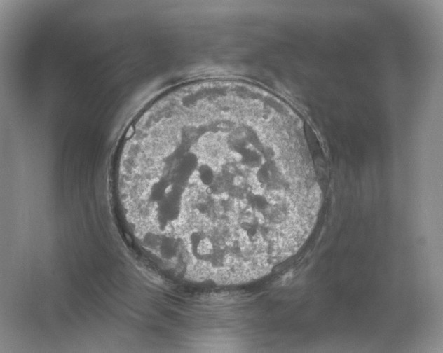 X0000063510103200602172157