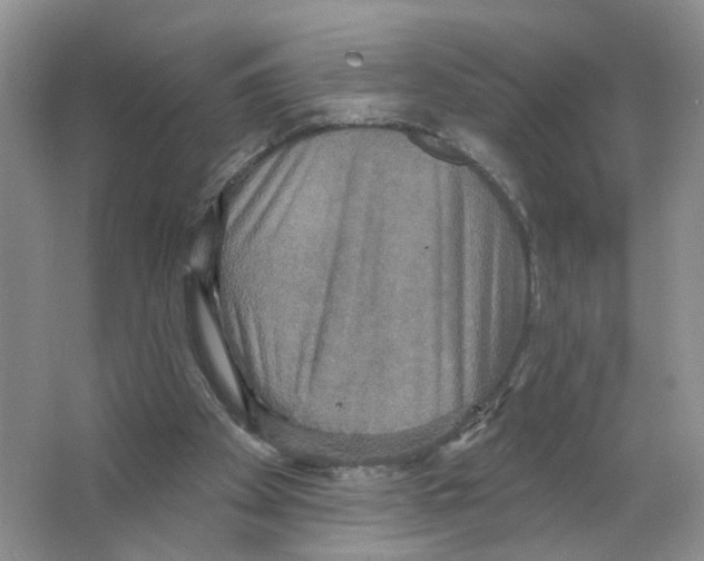 X0000063510105200602172157