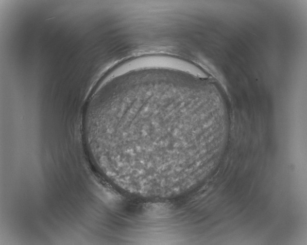 X0000063510107200602172157