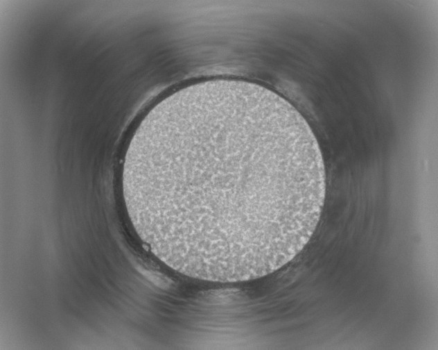 X0000063510108200602172157