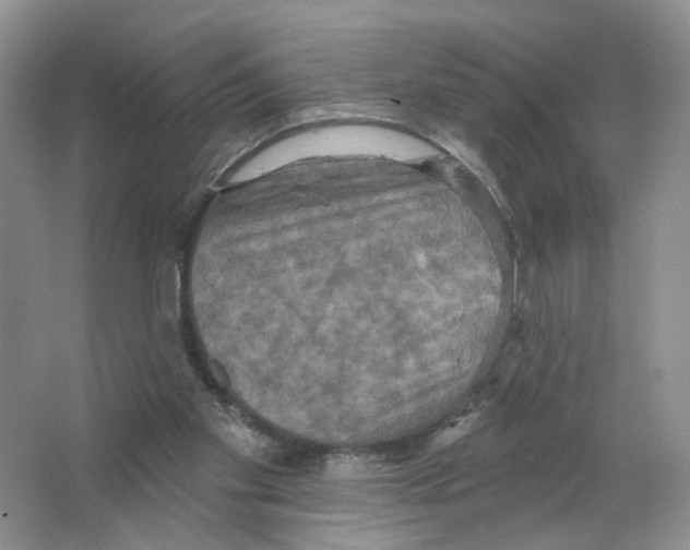 X0000063510109200602172157