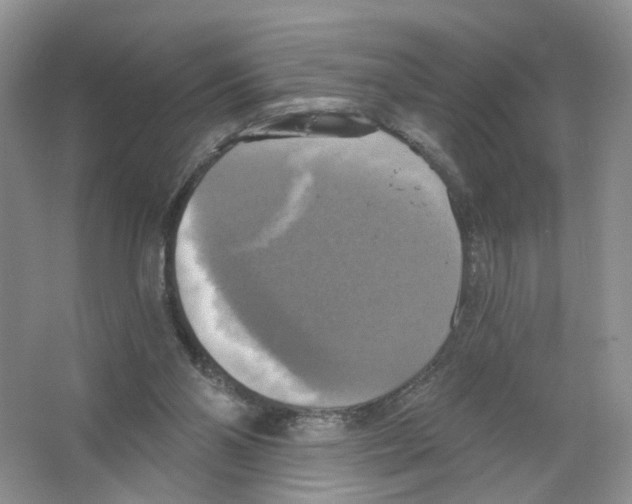 X0000063510110200602172157