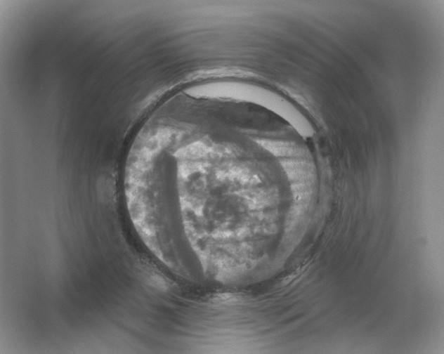 X0000063510111200602172157