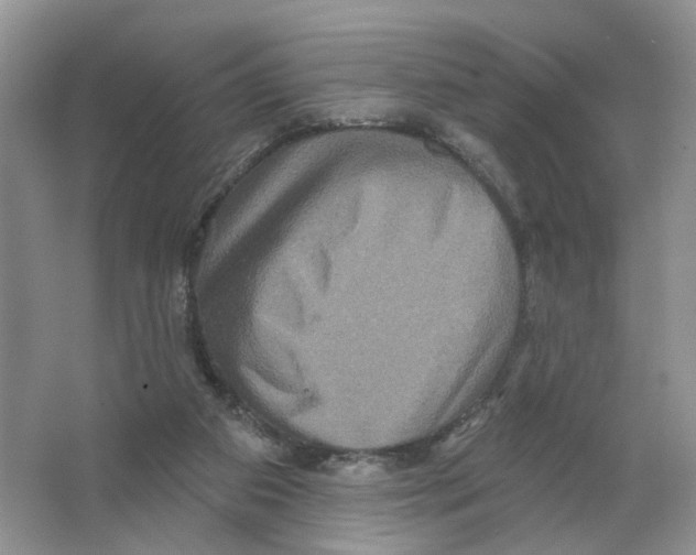 X0000063510113200602172157