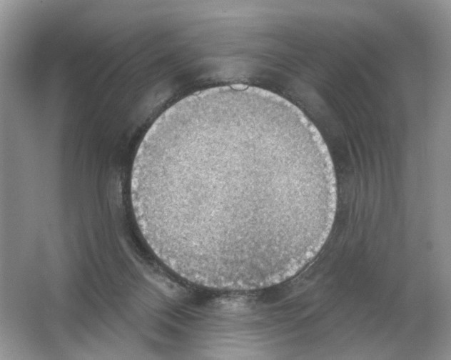 X0000063510120200602172157