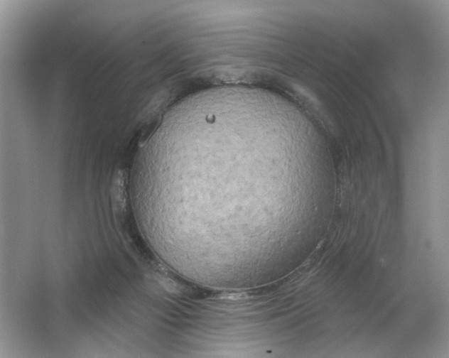 X0000063510121200602172157