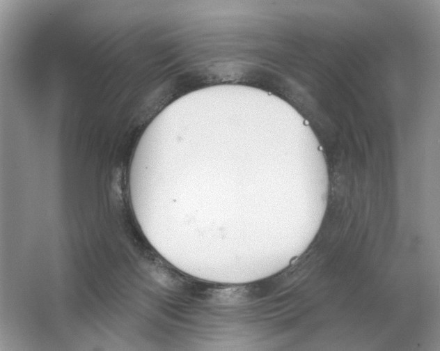 X0000063510122200602172157